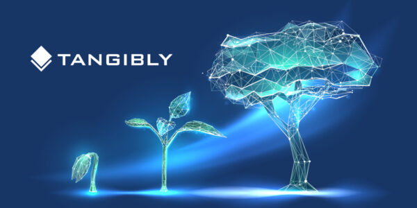 Tangibly Completes Oversubscribed $6.5M Seed Financing to Expand Its GenAI Tools for Trade Secret Management