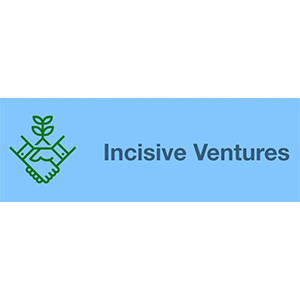 Incisive Ventures