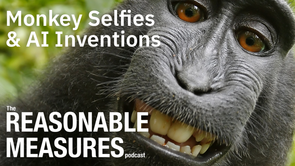 Monkey Selfies & AI Inventions: Navigating Copyrights, Patents, and Trade Secrets